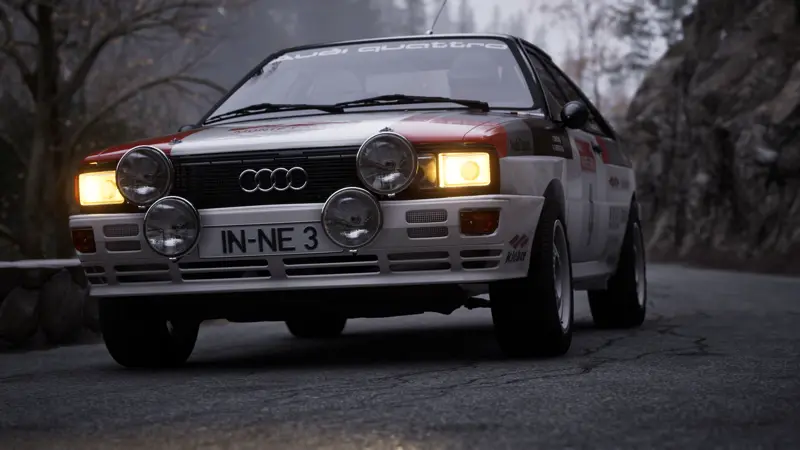 Assetto Corsa Rally screenshot 3